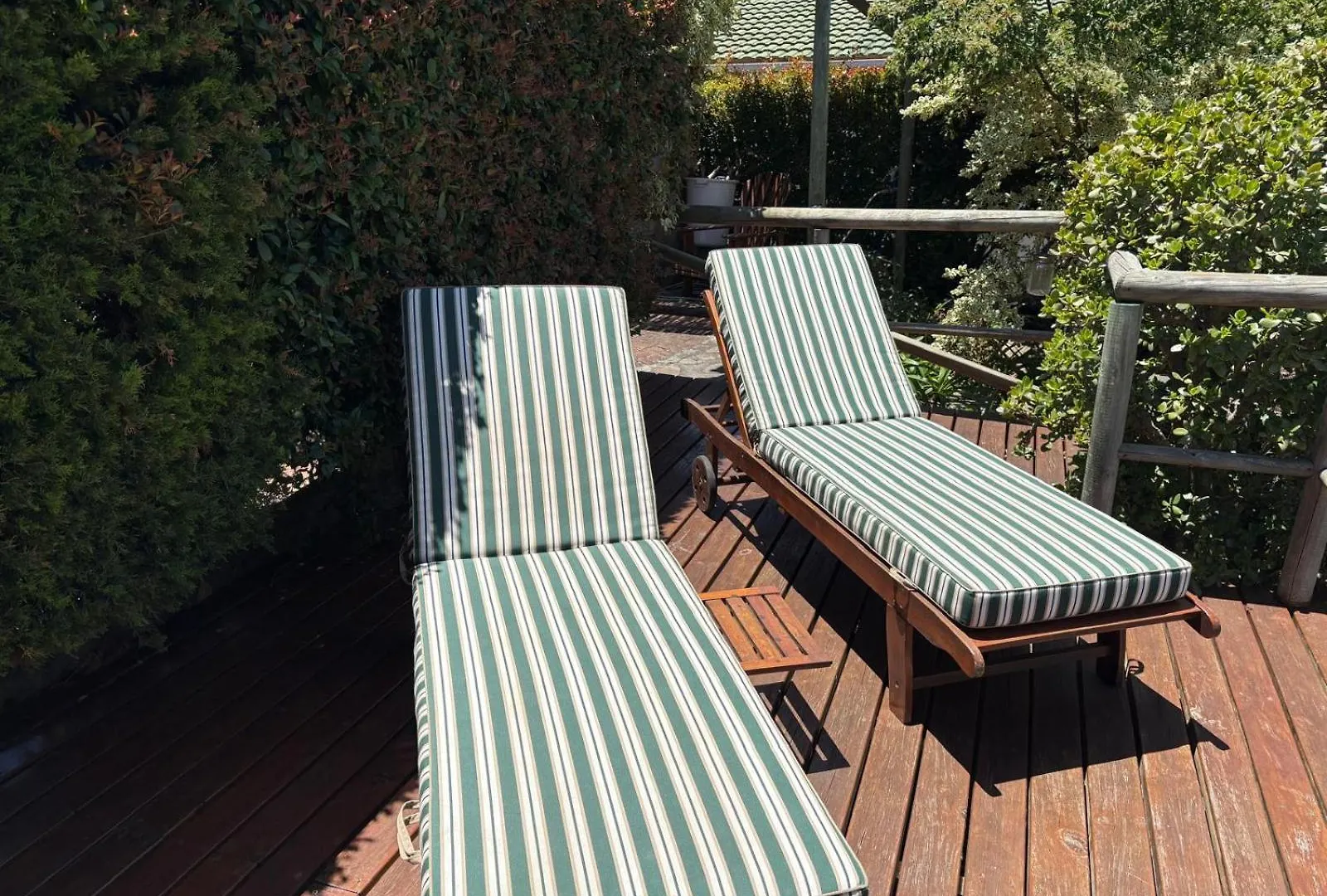 Birdsnest Guest Accommodation Hout Bay