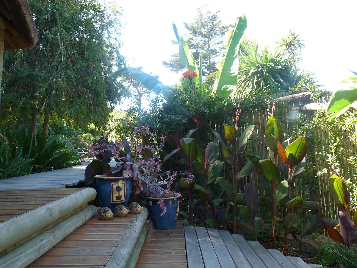 Birdsnest Guest Accommodation Hout Bay